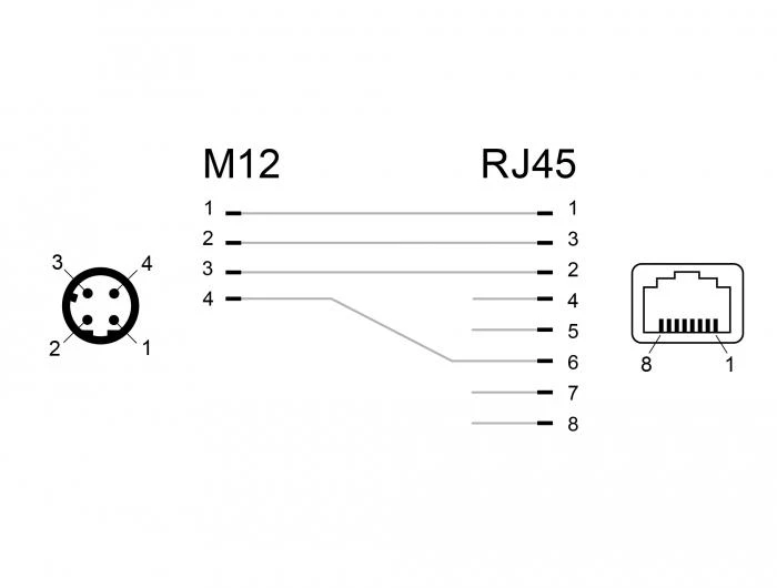 Delock Netzwerkadapter M12 4 Pin D-kodiert Stecker zu RJ45 Buchse