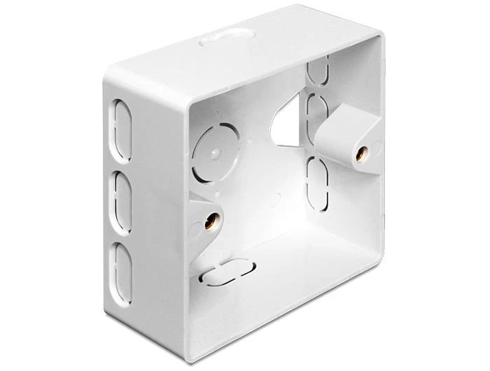 Delock Lizdas podtynkowe Keystone Balta (86128)