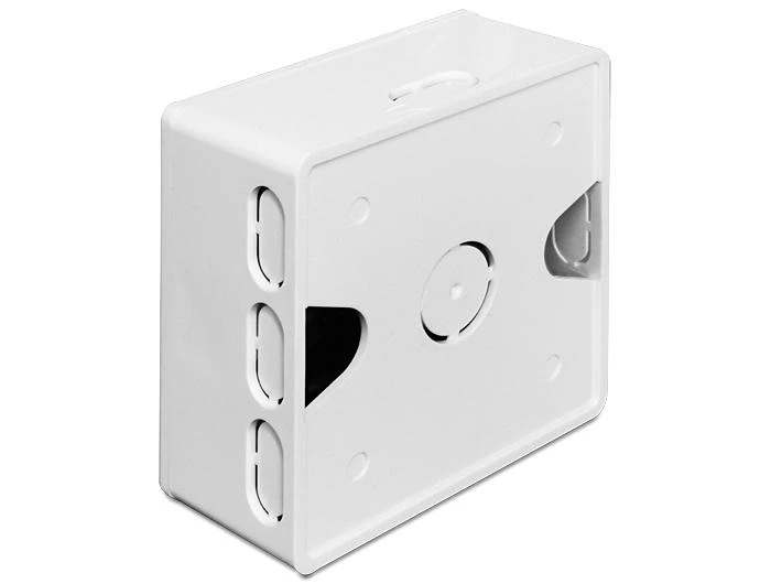 Delock Lizdas podtynkowe Keystone Balta (86128)