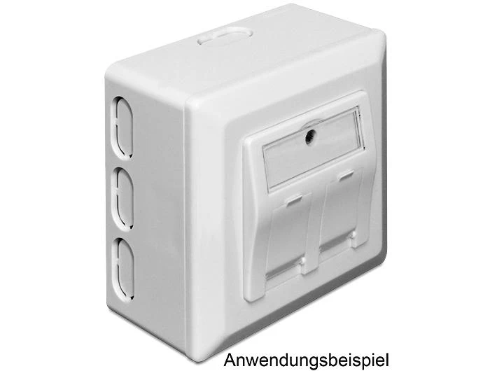 Delock Lizdas podtynkowe Keystone Balta (86128)