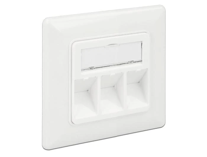 Delock 86194 - RJ-45 - Sidabrinis,Baltas - 80 mm - 25.8 mm - 80 mm