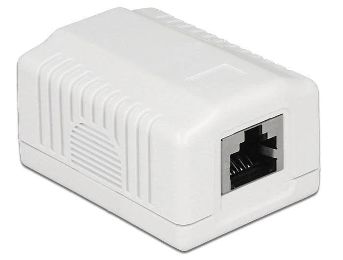 Delock tinklo lizdas 1xRJ45 LSA Cat.6A
