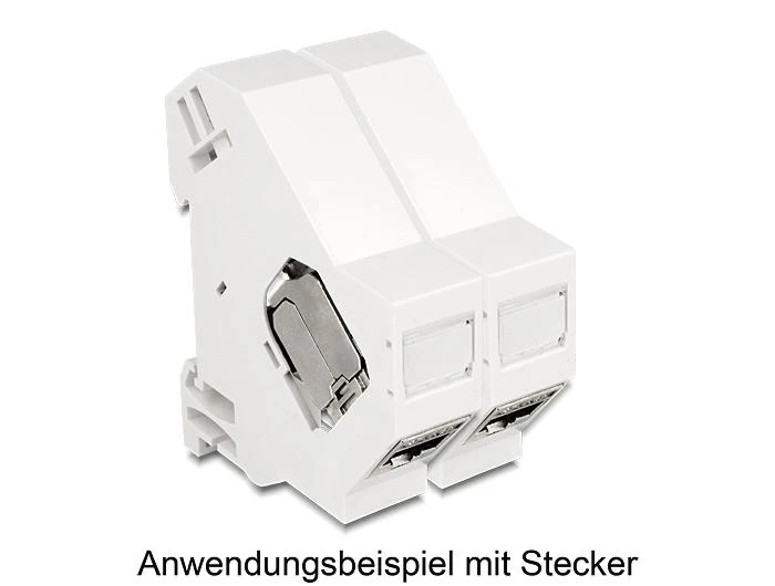 Delock Modulio laikiklis DIN De-Lock / 86232