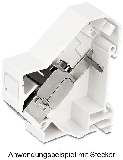 Delock Modulio laikiklis DIN De-Lock / 86232