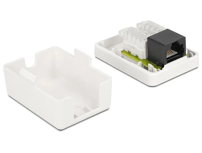 Delock DELOCK Netzwerk Dose RJ45 Buchse Cat6 ungeschirmt