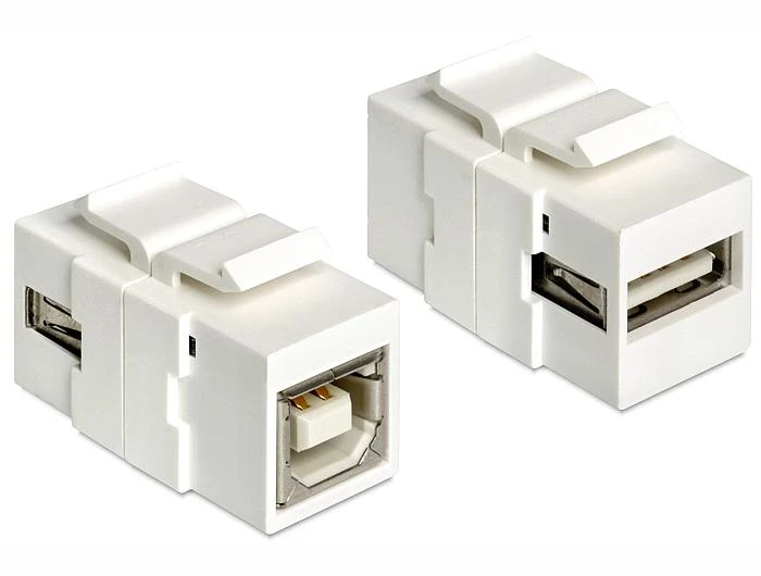 Delock Keystone USB-A ir USB-B moduliai, 2 vienetai