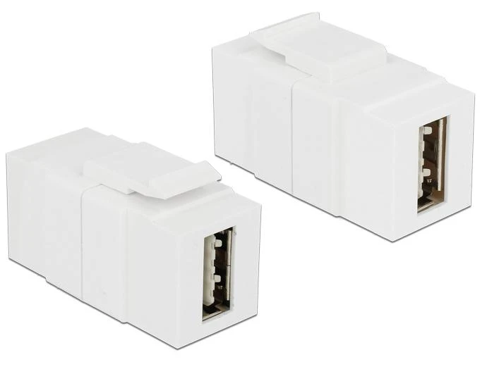 Delock USB adapteris, 2 vnt. modulių rinkinys