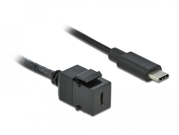 DELOCK Keystone modulis USB 3.0 C moteriai > USB 3.0 C kištukas su laidu