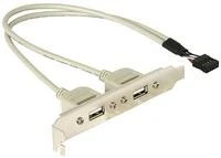 DELOCK lizdo laikiklis vidinis USB 5 kontaktai iki 2x USB2.0 išorinis