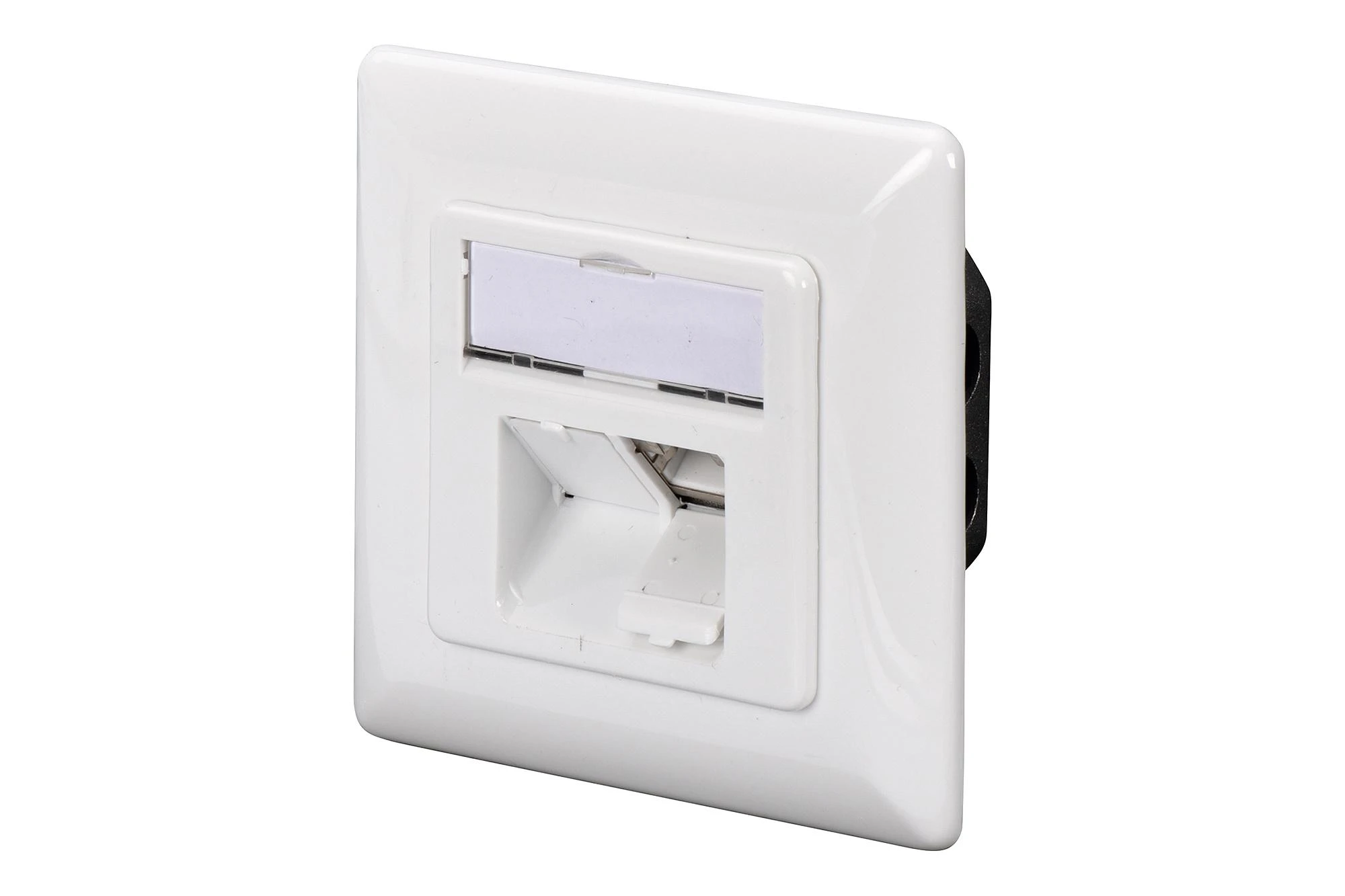 Assmann Electronic DIGITUS modulinis sieninis lizdas 2xRJ45 baltas Cat6 pilnai ekranuotas paviršinis montavimas RAL 9010