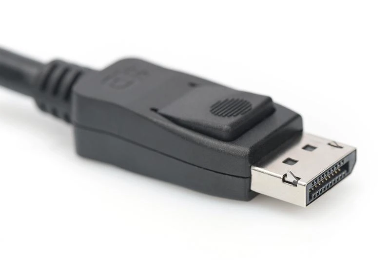 DisplayPort laido jungtis su fiksatoriumi