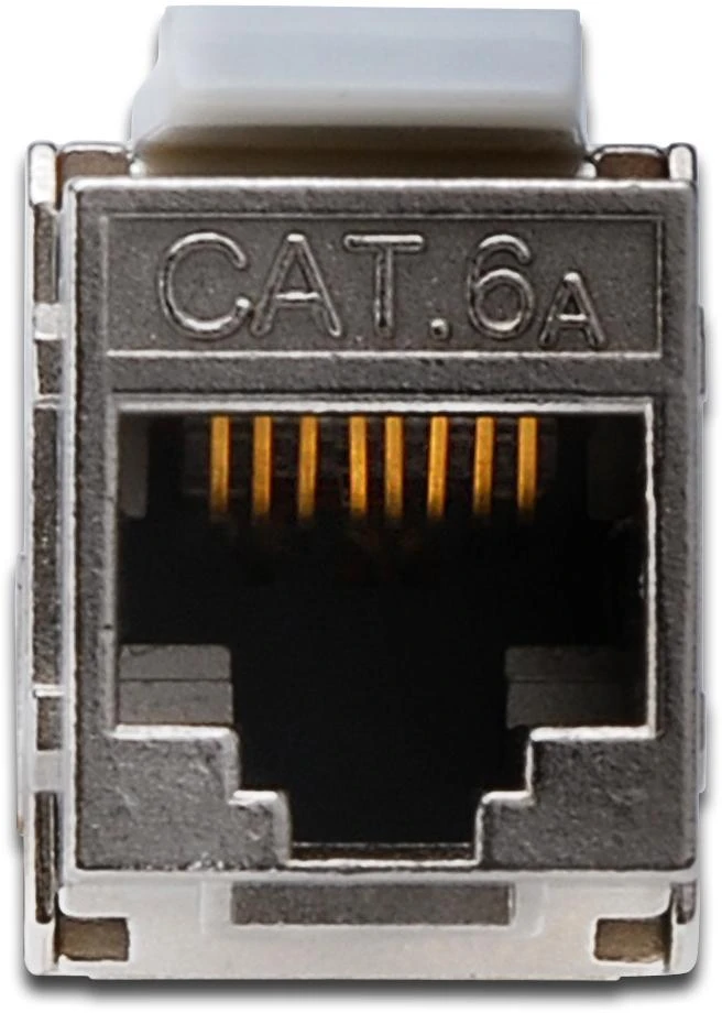 Assmann Electronic DIGITUS Keystone modulis Cat6A RJ45 500 MHz ekranuotas be įrankių