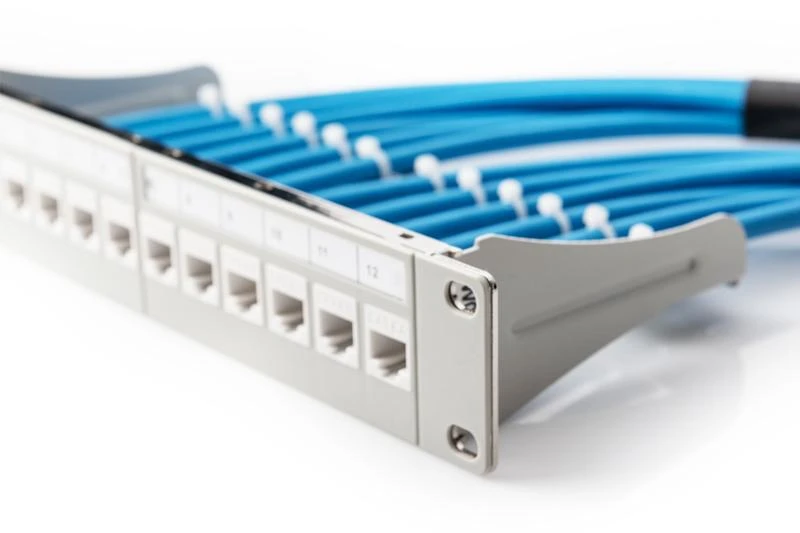 Digitus Patch skydelis 10 "1U 12x lizdas keystone Pilka (DN- 91419)