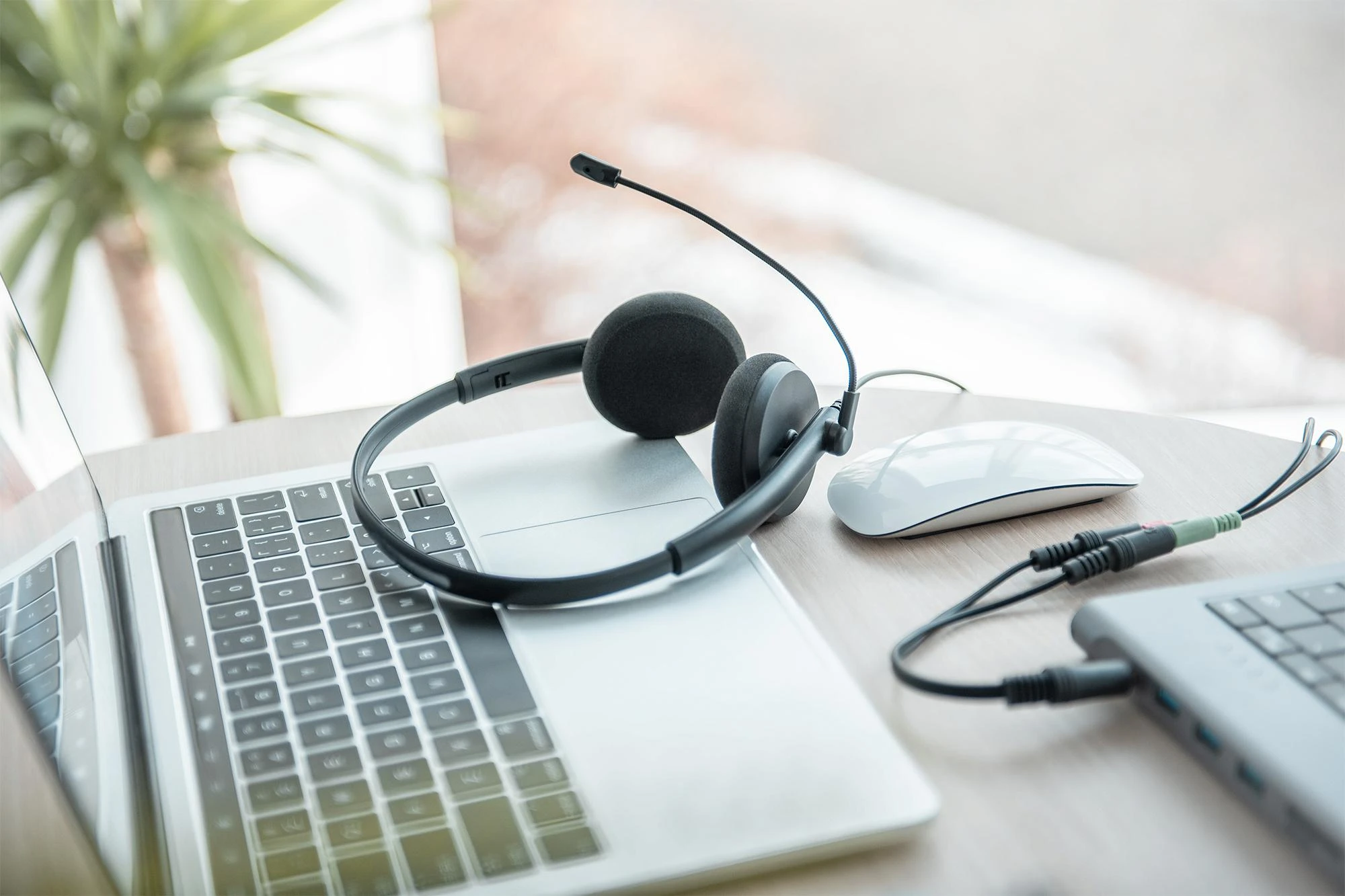 DIGITUS On Ear Office ausinės w. Triukšmo mažinimas 3,5 mm stereofoninis