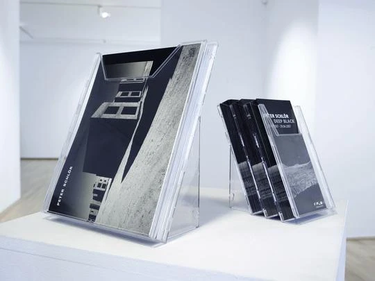 Durable Patvari lentyna A4 katalogams COMBIBOX (8578-19)