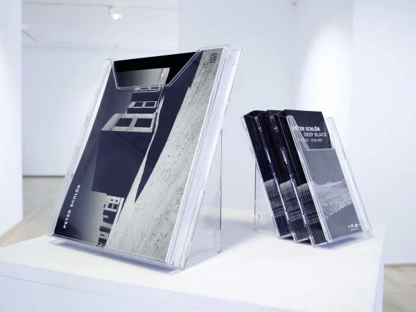 Durable Patvari lentyna A4 katalogams COMBIBOX (8578-19)