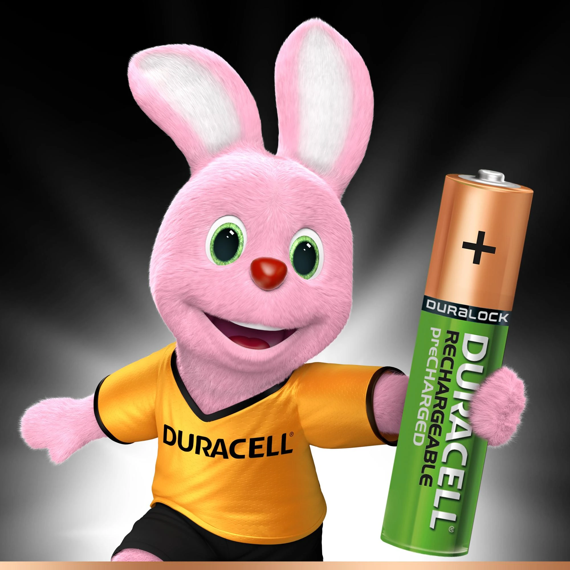 Duracell zuikis su įkraunama baterija