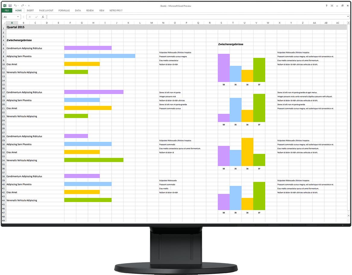 Monitorius EIZO FlexScan EV2456 61,2 cm (24,1") 1920 x 1200 pikselių WUXGA LED zona