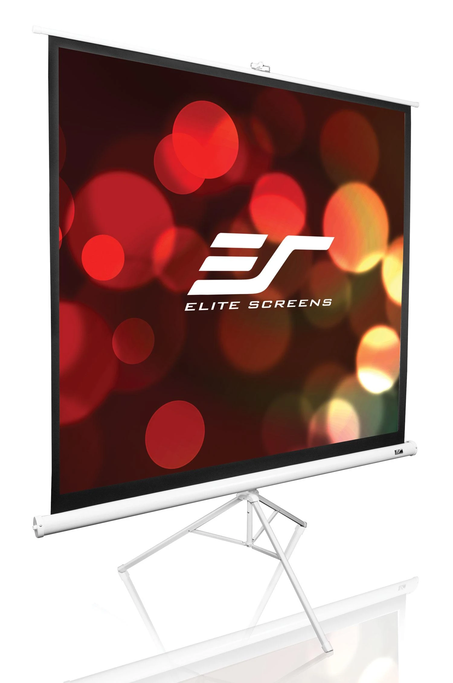 Elite Screens | su stovu Series | T113NWS1 | Įstrižainė 113" | 1:1 | Matomo vaizdo plotis (W) 203 cm | Baltas