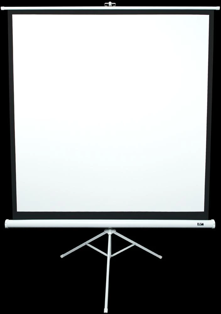Elite Screens | su stovu Series | T99NWS1 | Įstrižainė 99" | 1:1 | Matomo vaizdo plotis (W) 178 cm | Baltas
