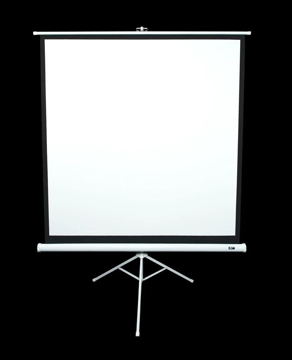Elite Screens | su stovu Series | T99NWS1 | Įstrižainė 99" | 1:1 | Matomo vaizdo plotis (W) 178 cm | Baltas