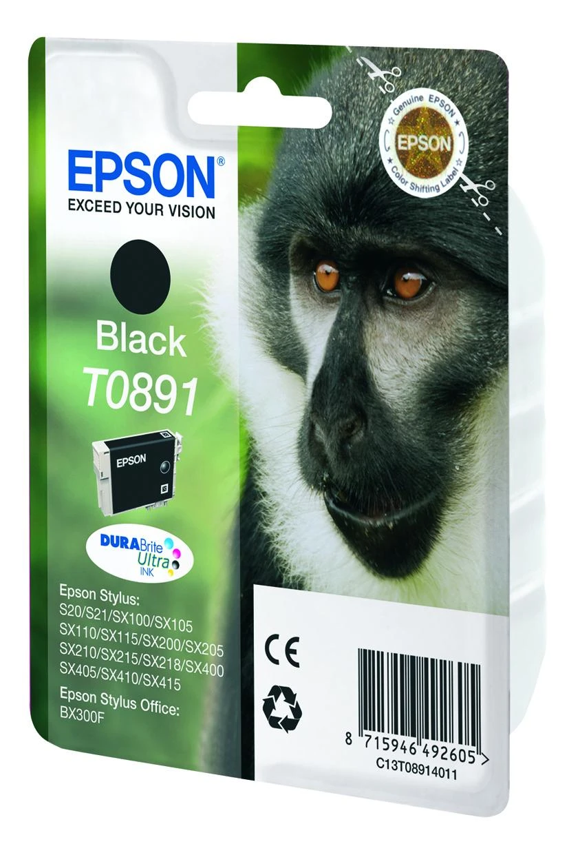 EPSON T0891 juodos spalvas rašalinė