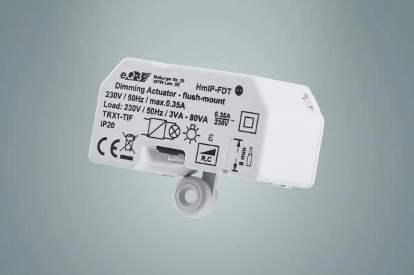 HomeMatic IP Homematic IP pritemdymo pavara įleidžiama į žemę – fazinė sekcija