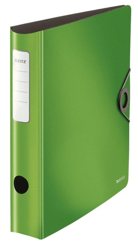 Segregator Leitz A4 60mm žalia (10481050)