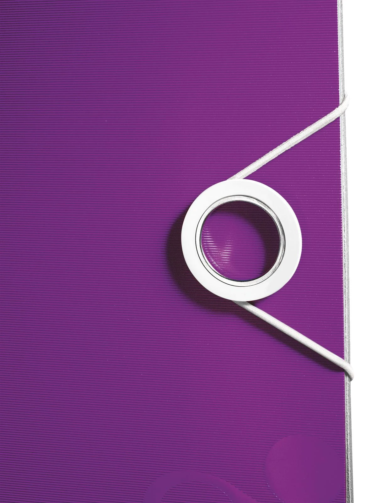 Segregator Leitz A4 75mm violetinė (11060062)
