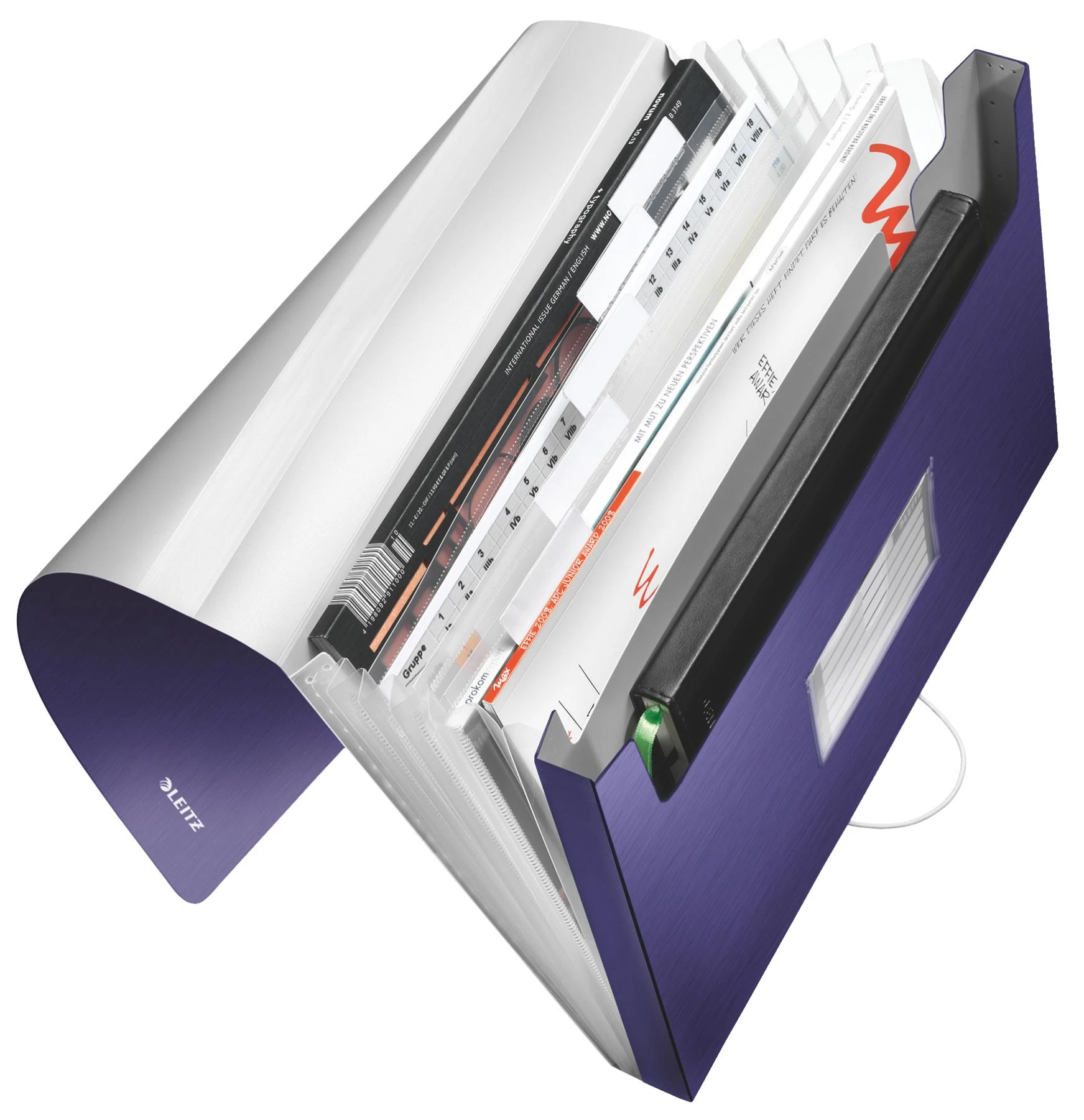 Leitz TECZKA Z 6 PRZEGRÓDKAMI Mėlynas (39570069)