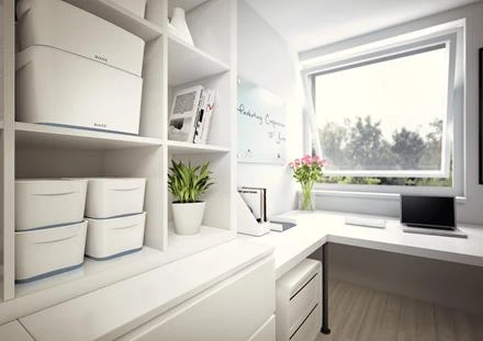 Dėžutė daiktams LEITZ MyBox, pailga