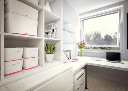 Dėžutė daiktams LEITZ MyBox, pailga