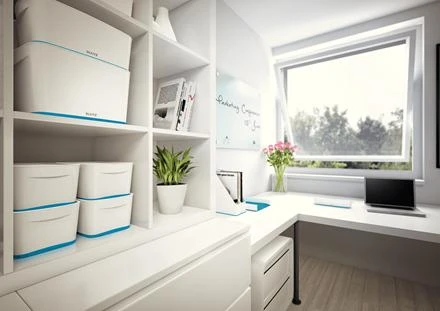 Dėžutė daiktams LEITZ MyBox, pailga