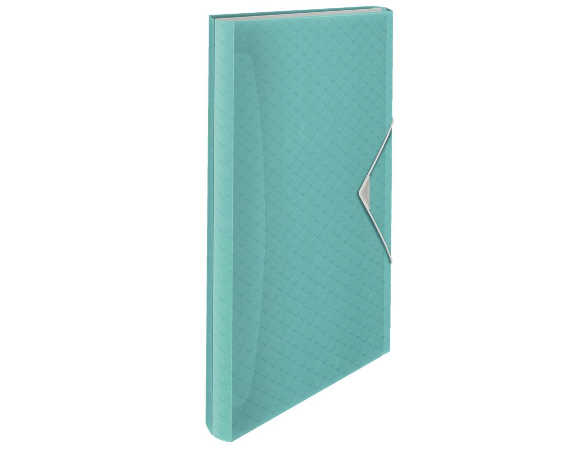 Esselte TECZKA Z PRZEGRÓDKAMI COLOUR`ICE mėlyna