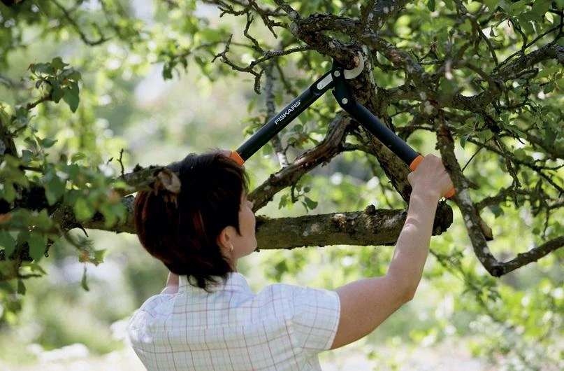 Fiskars PowerGear Lopper aplinkkelio kablio galvutė (S) L70