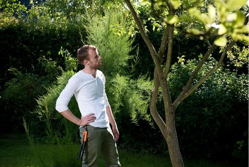 Fiskars Xtract™ sodo pjūklas (L) SW 75
