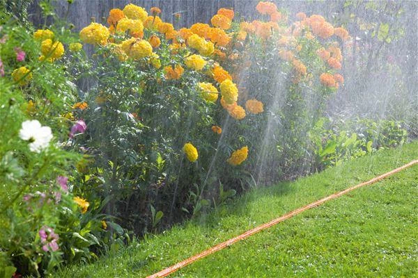 Purkštukas Gardena 7,5m 995-20