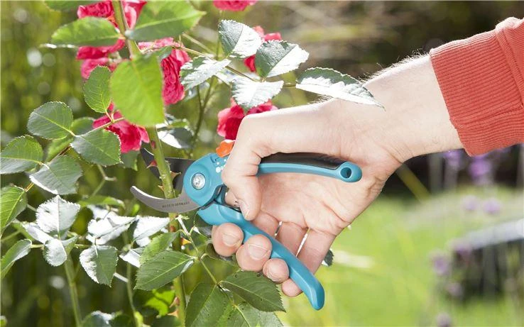 Sodo sekatorius Gardena B/S-M 8857-20 (967048001)