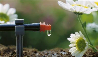 Gardena pradinis rinkinys gėlių vazonams S