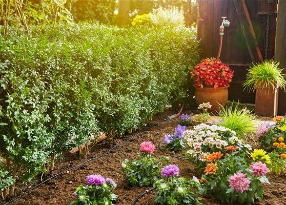 Gardena Lašelinio drėkinimo rinkinys daržovių/augalų eilėms (15m)