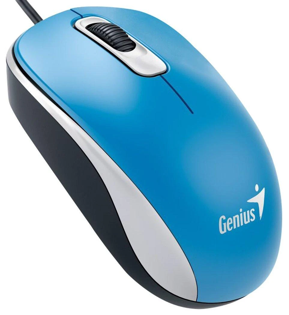 Genius DX-110 pelė (31010116103)