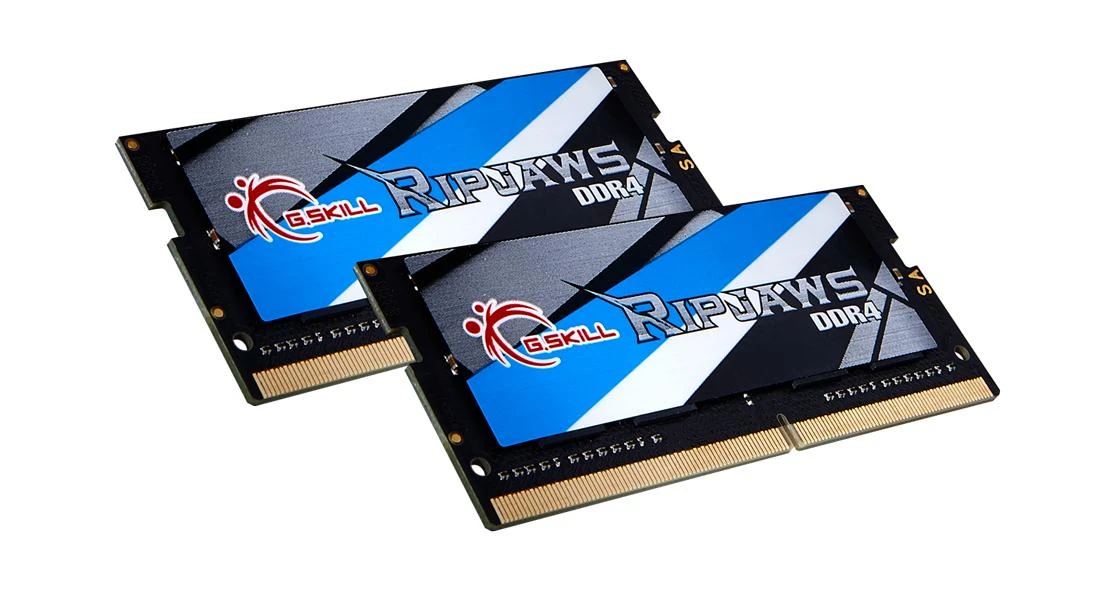 RAM G.Skill | Plyšiniai | 32 GB | DDR4 | 2666 MHz | Užrašų knygelė | Registracijos Nr. | ECC Nr