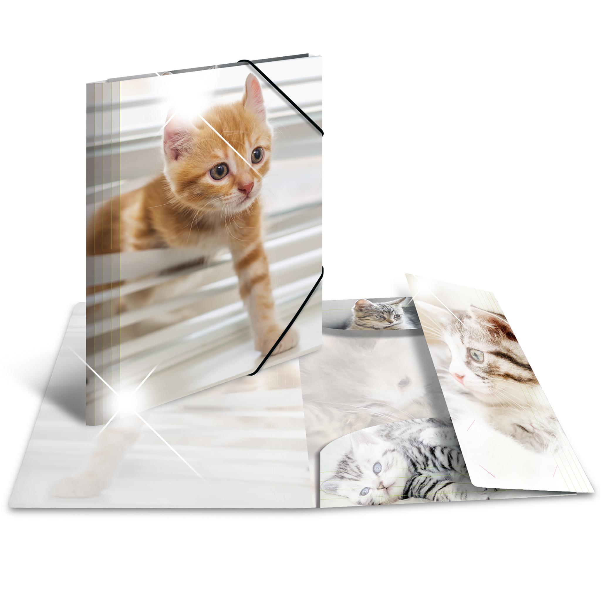 Herma Folder A4 Blizgus Katze