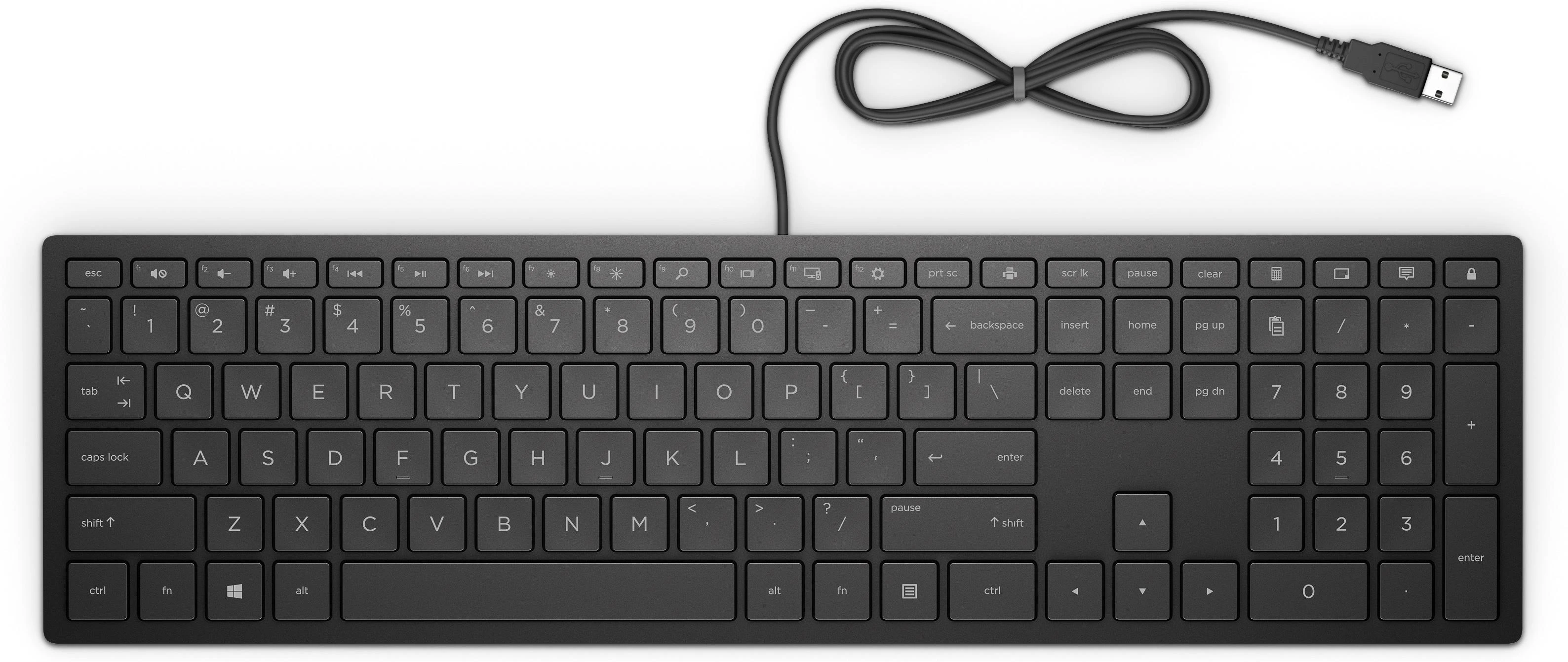 Hewlett Packard (HP) HP Pavilion laidinė klaviatūra 300
