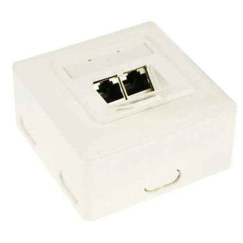 InLine Lizdas Cat.6 ścienne, 2x RJ45, balta (75602K)