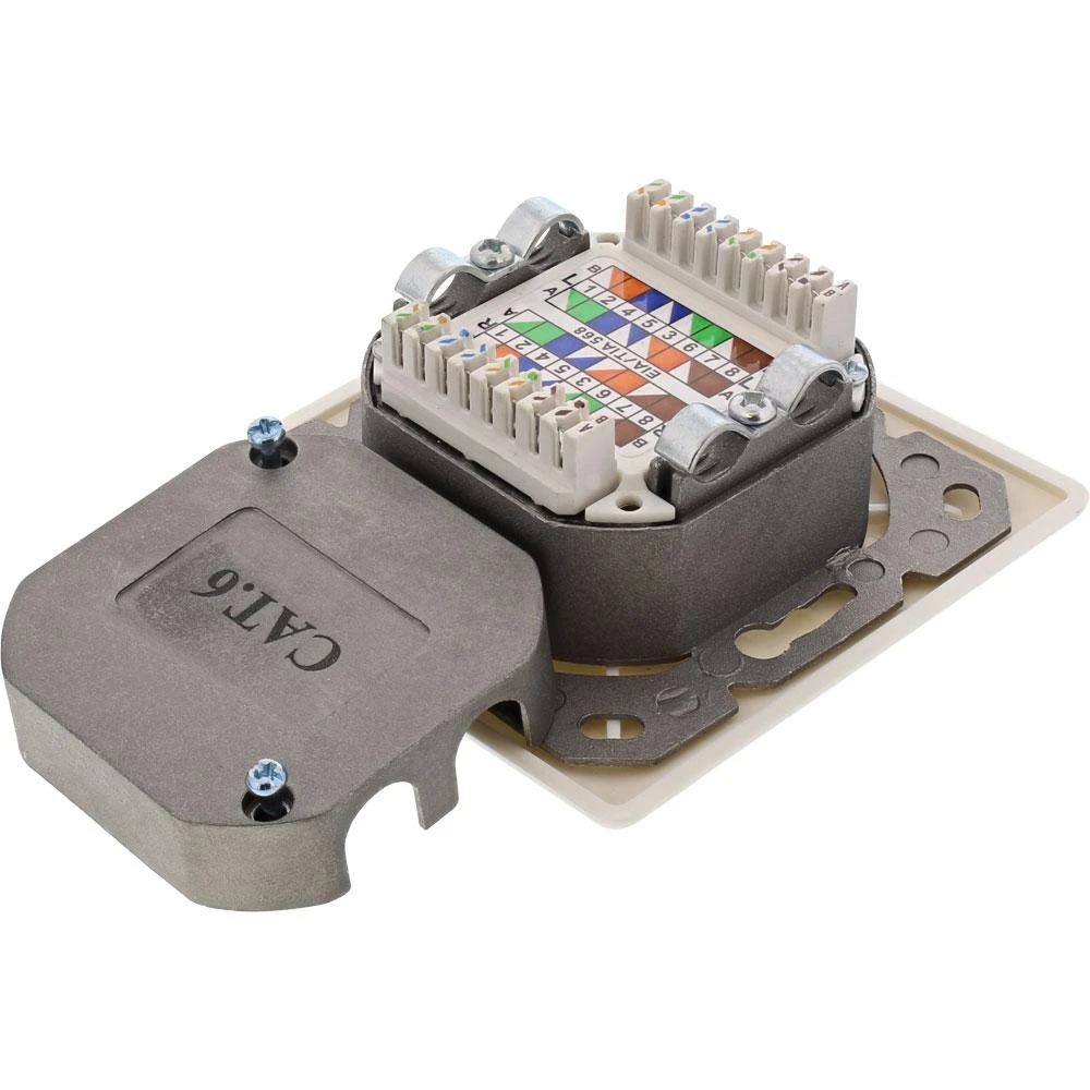 InLine Lizdas Cat.6 ścienne, 2x RJ45, balta (75602K)