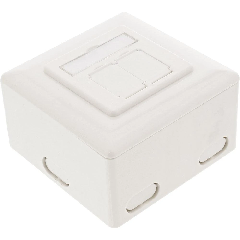 InLine Lizdas Cat.6 ścienne, 2x RJ45, balta (75602K)