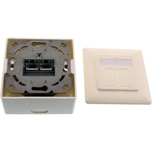 InLine Lizdas Cat.6A Ścienne, 2x RJ45, kabelis (76842S)