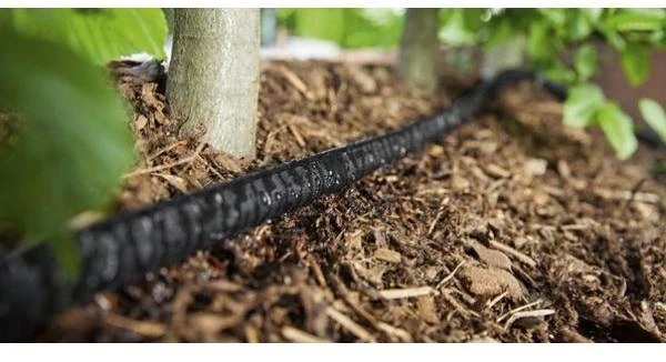 Dirvožemio drėkinimo žarna 1/2" -25M, Kärcher