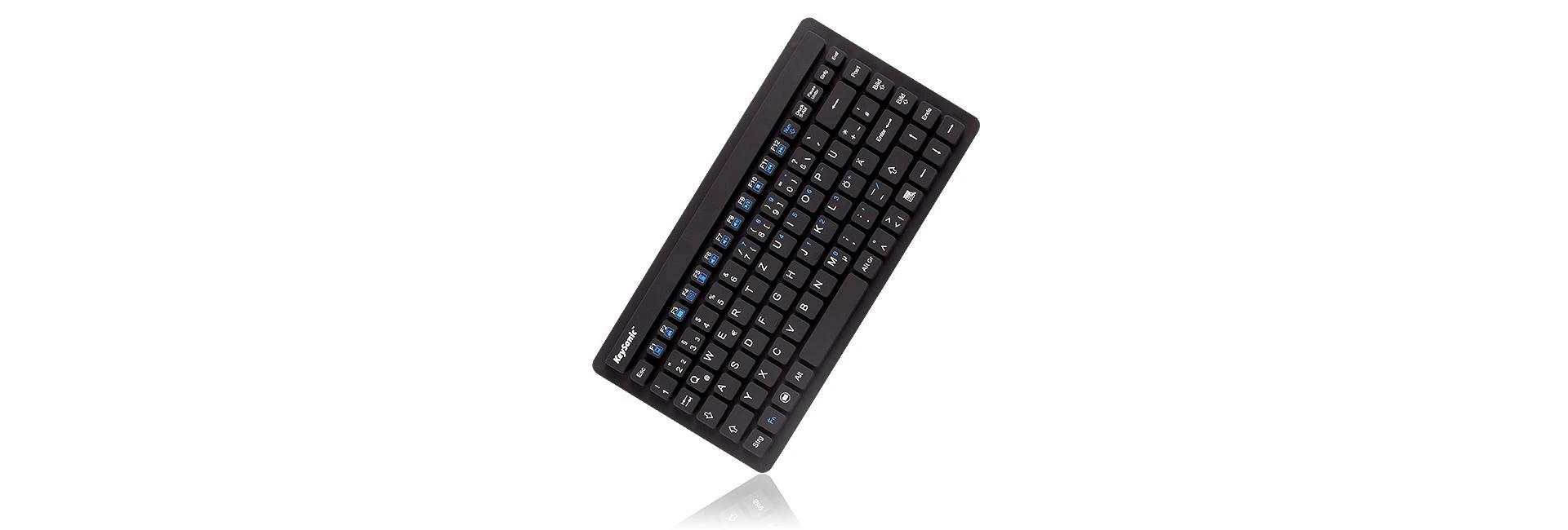 RaidSonic KeySonic KSK-3230IN (DE) klaviatūra Universalus USB QWERTZ German Juodas